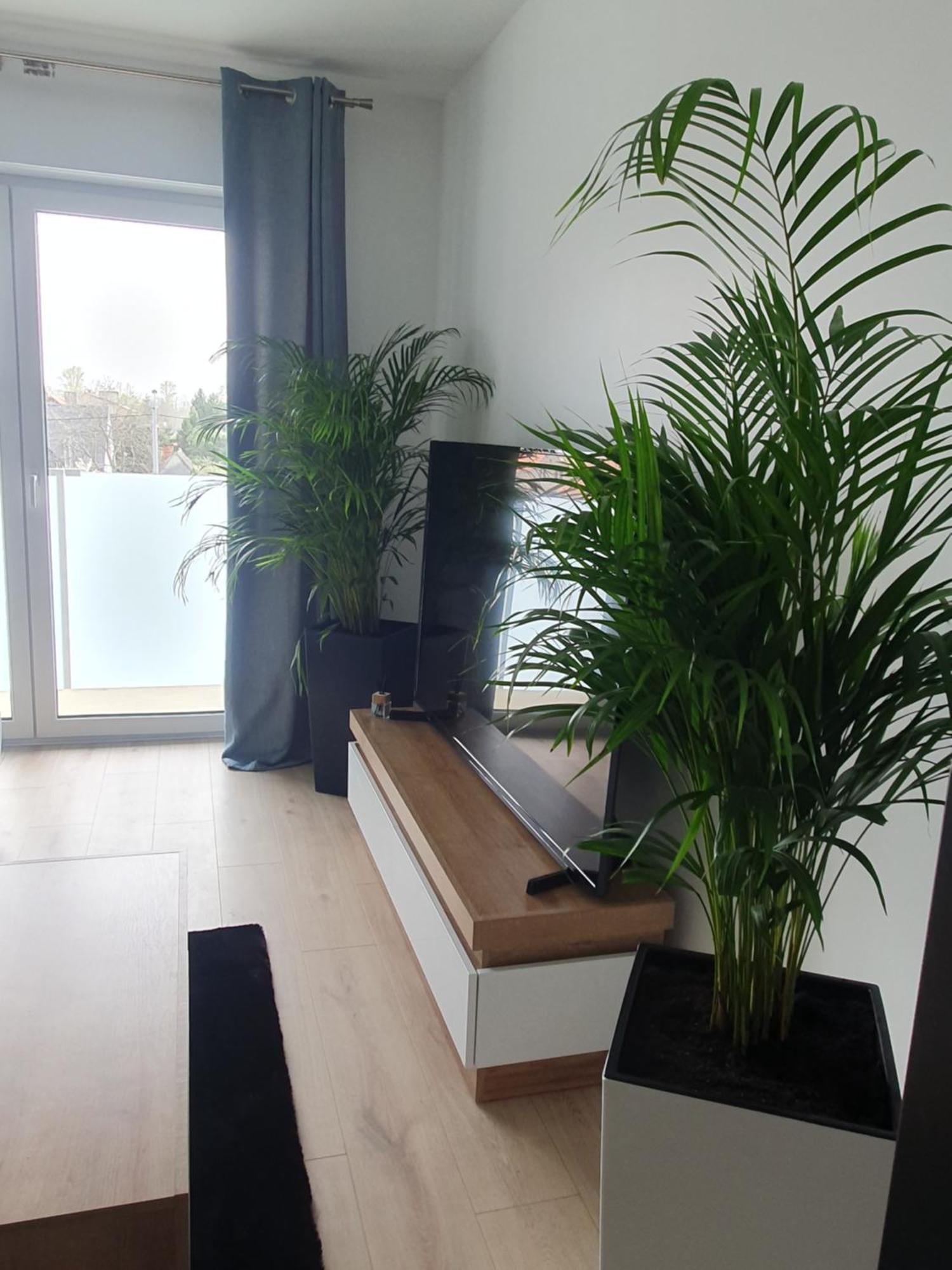 Apartment Number 2 Nova Wozownia Free Parking Leszno (Greater Poland)